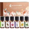 Kit de Escencias x 6